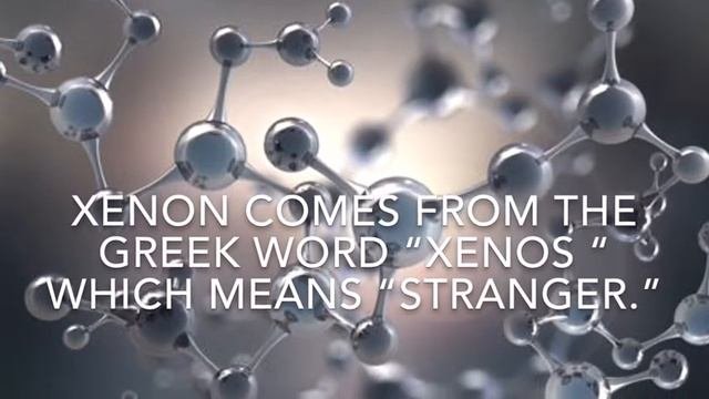 Stephanie Sobek - Xenon
