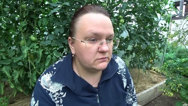 Нужна ли обрезка листьев томатов в июле?