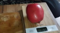 Пробуем на вкус поспевшие томатики.