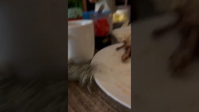 В поисках принца