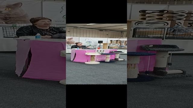 Питомник эльфов и бамбино" Половинка Моя"