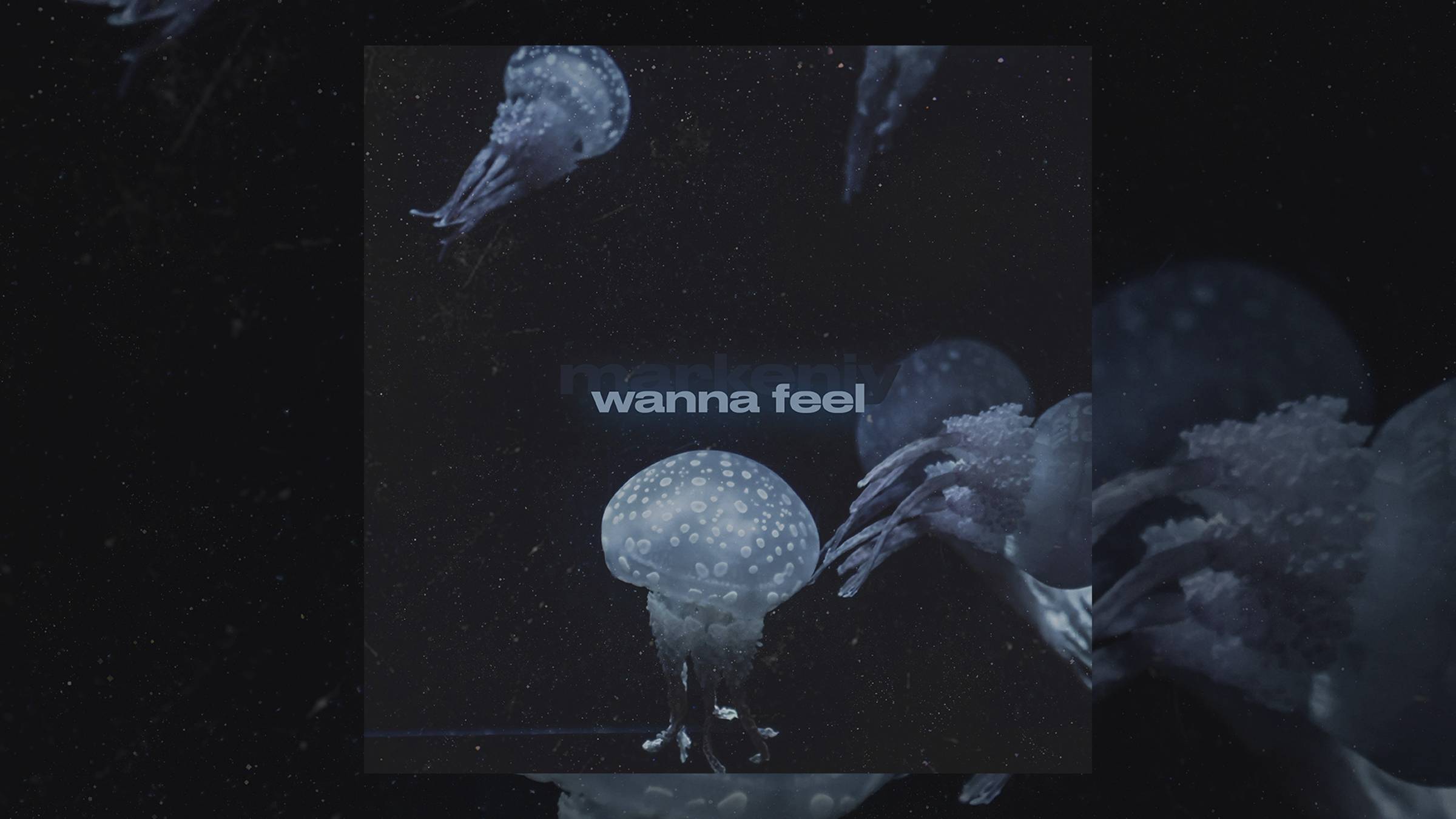 markeniy - wanna feel