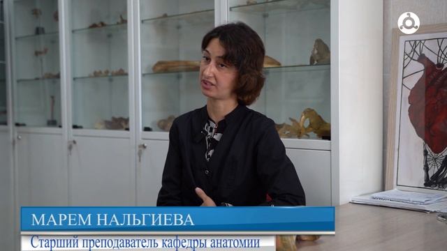 ЗОЖ. Что губит наш кишечник.