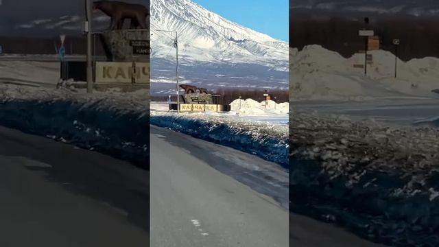 🗻Корякский вулкан, или Корякская Сопка.