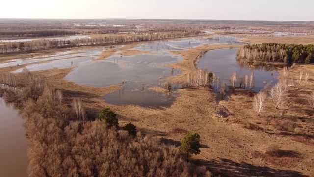Тара река выходит из берегов. Весеннее половодье 2024.Омская область.