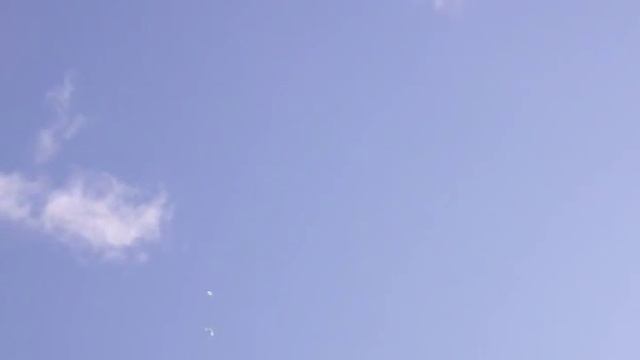 Молодые головастики
