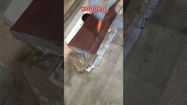 Короед украсил мой забор