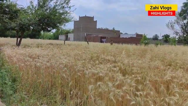 Pakistan Last Village Life 🇵🇰