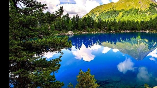 💎Учебник логики  Челпанов Г.И. часть 3
