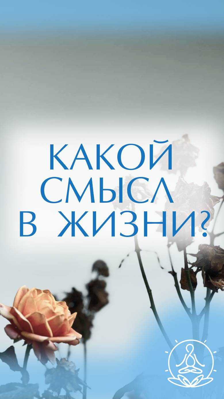 Какой смысл в жизни?