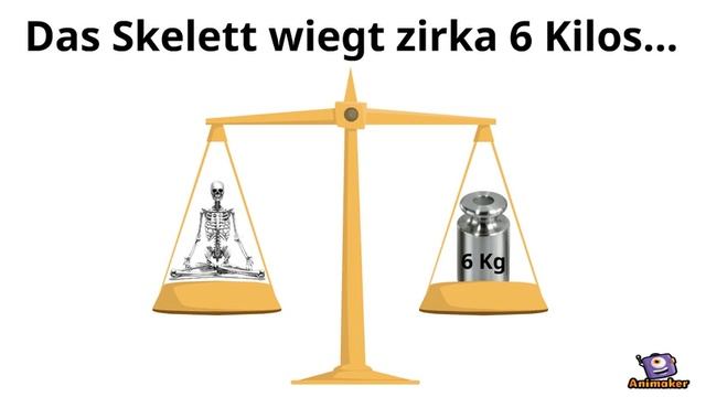 Das Skelett