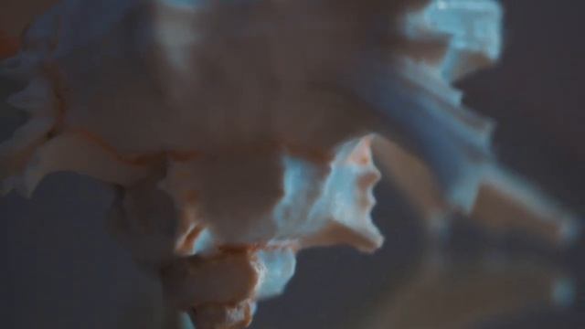 Music Channelling Начало Творения
Встреча проводников