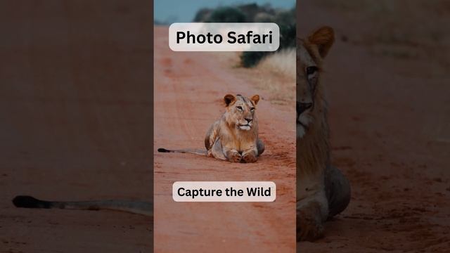 Epic Wildlife Shots Await in Tanzania!