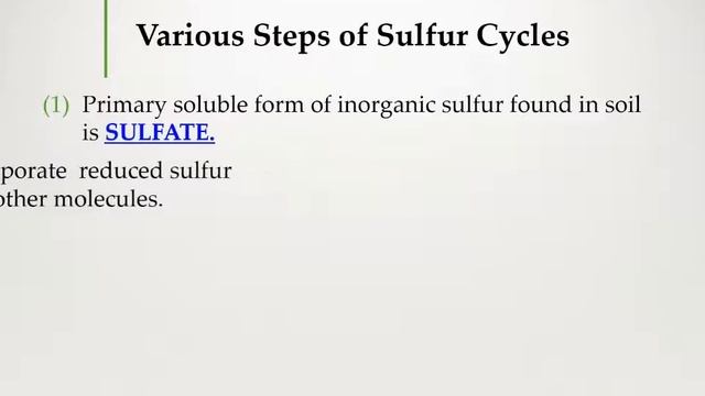 Microbiology Class - Unit 4 - Nitrogen Cycle and Sulfur Cycle