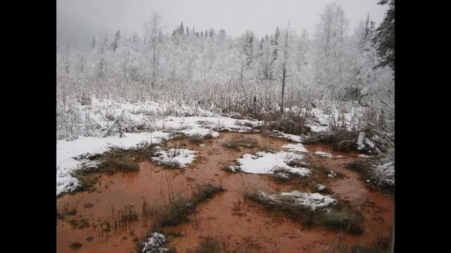 Терсинка, минеральный источник.