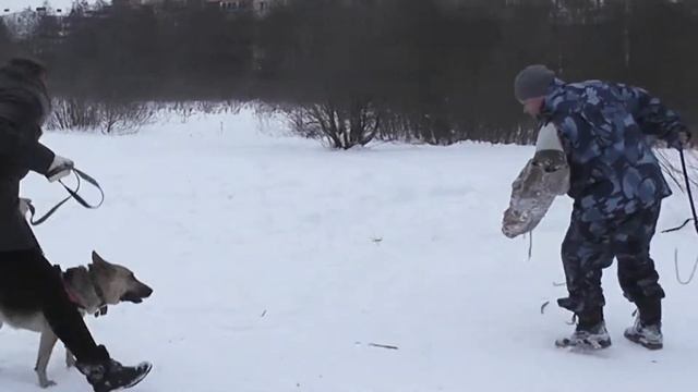 Занятие "Защитно-караульная служба", февраль, 2019