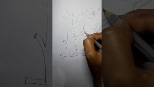How to draw Nephron Easy step by step for Beginners#drawing_tutorial #easy_drawing #sketch 🎨