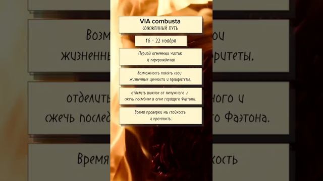 СОЖЖЕННЫЙ ПУТЬ VIA COMBUSTA. ВИА КОМБУСТА ноябрь  2024