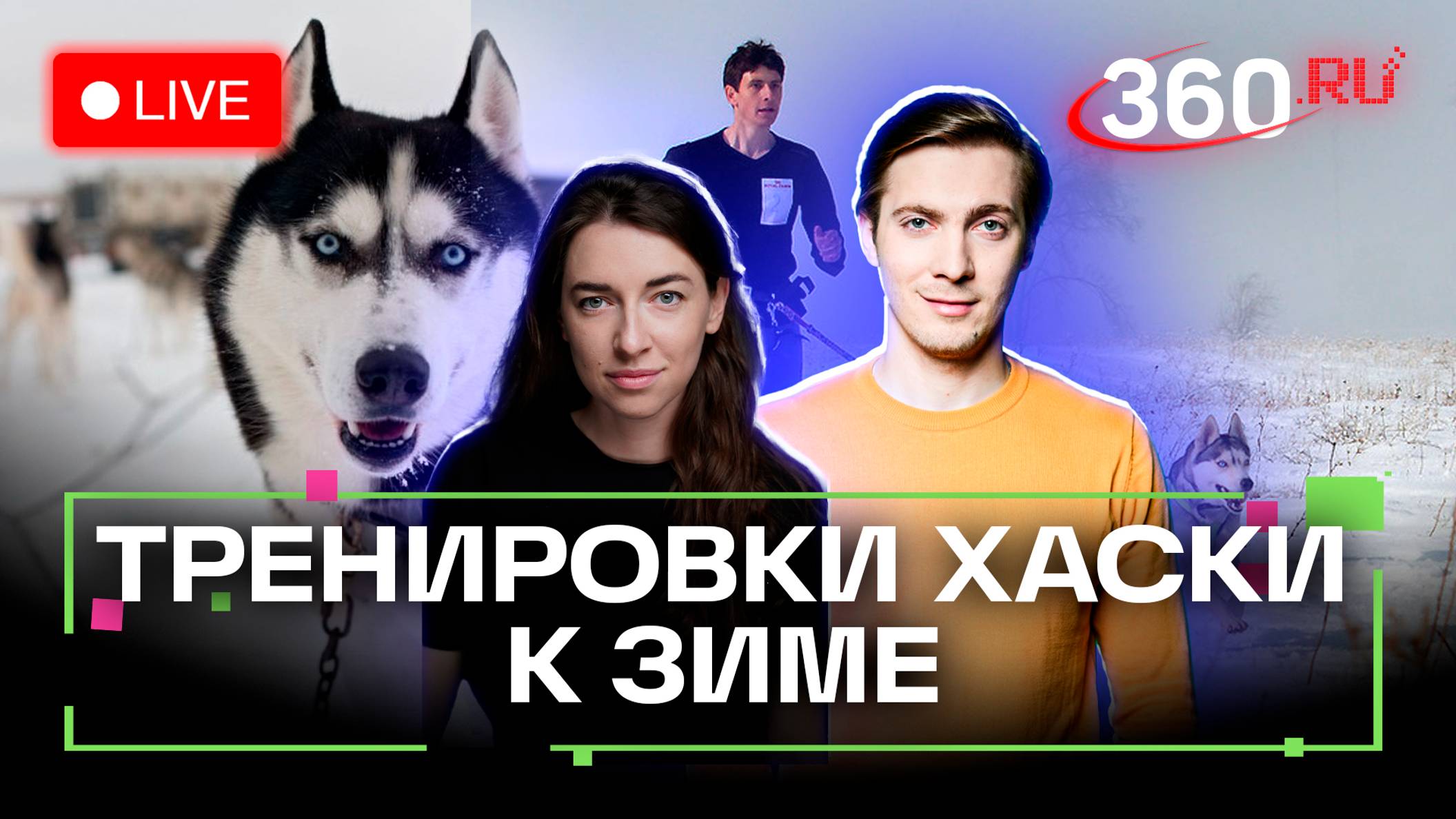 Прогноз погоды на 14 ноября. Дмитровский г.о. Павловский Посад. Бобрышева. Хохлов