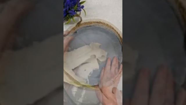 scene_output.mp4