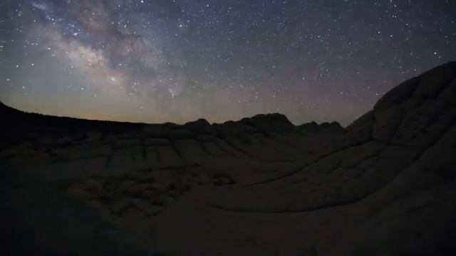 ДИКАЯ ПРИРОДА-ВИДЕО