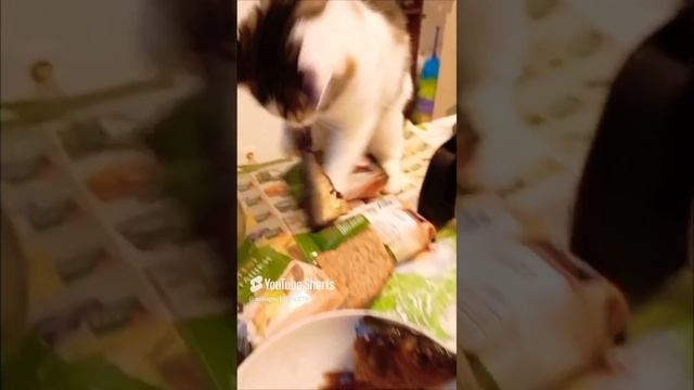 Аппетитная Селёдка!