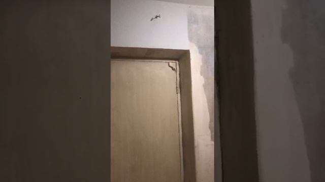 декоративная штукатурка "шуба", она же "барашек",
внутри квартиры, в двух цветах,практично и дёшево.