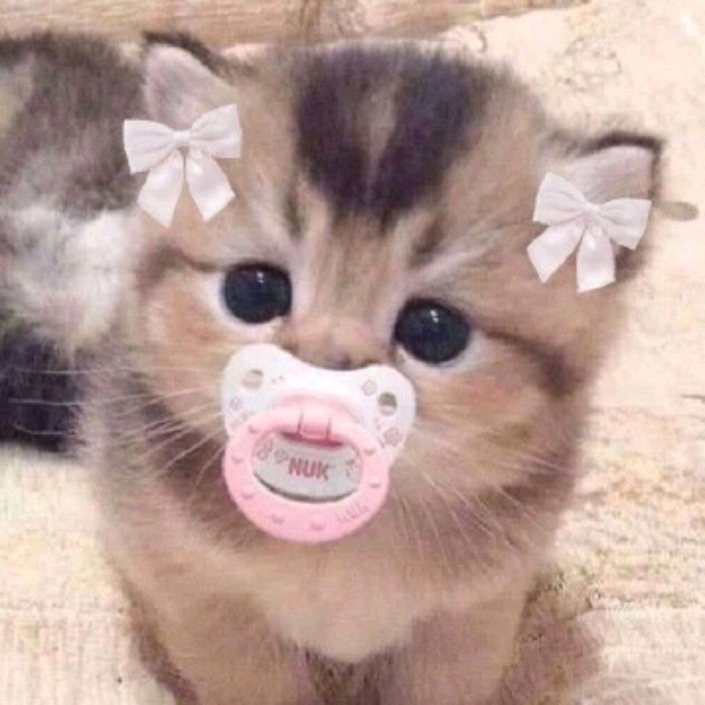 Стрим хэхэ :33