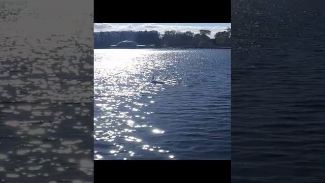 20241012_132453.mp4