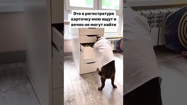 Мы в ВК https://vk.com/life_of_cats