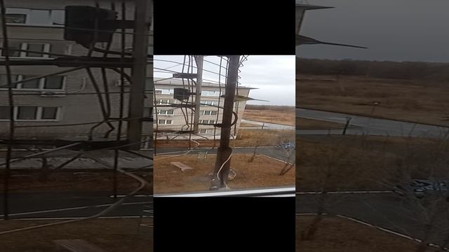Пришла пора птиц подкармливать.