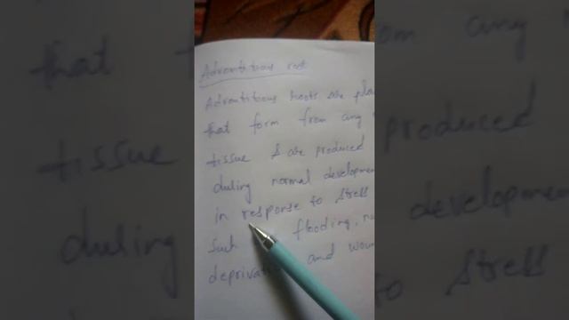 5.  Adventitious Root