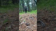 🌲🐕 #природа #forest #nature #девушка #girl #собака #dog #прогулка #тайга #лес #сибирь