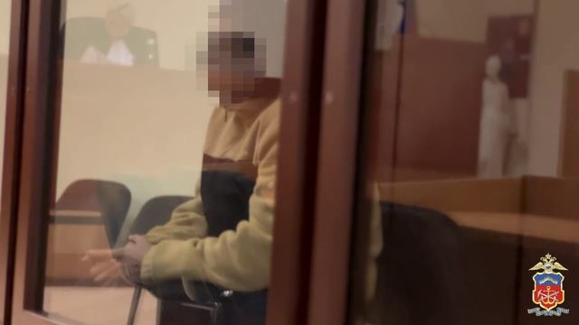 В Мурманске задержан молодой человек, подозреваемый в серии мошенничеств
