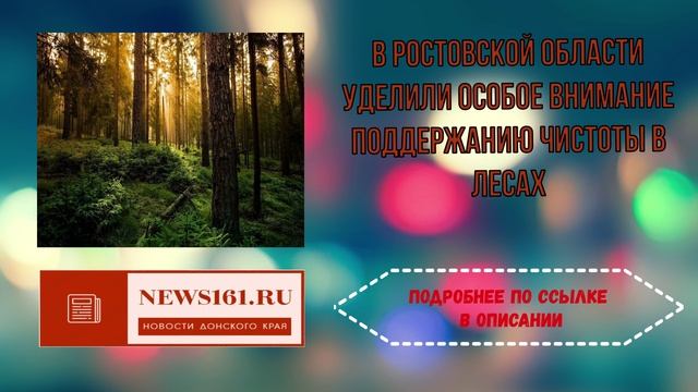 В Ростовской области уделили особое внимание поддержанию чистоты в лесах