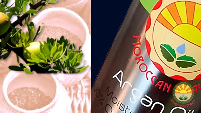 Moisturizing Hair Serum (Moroccan Beauty Secrets)
