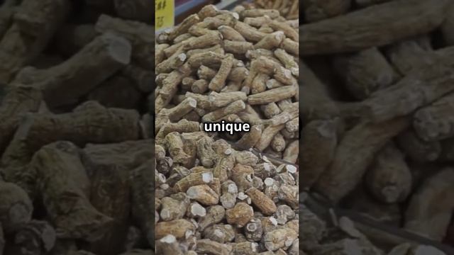 #Short Wild vs Cultivated Ginseng  Key Difference #medicine #Ginseng #food