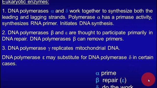 DNA Replication and Repair