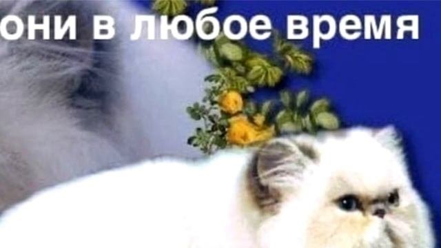 Слижком Добрые МЕМЫ