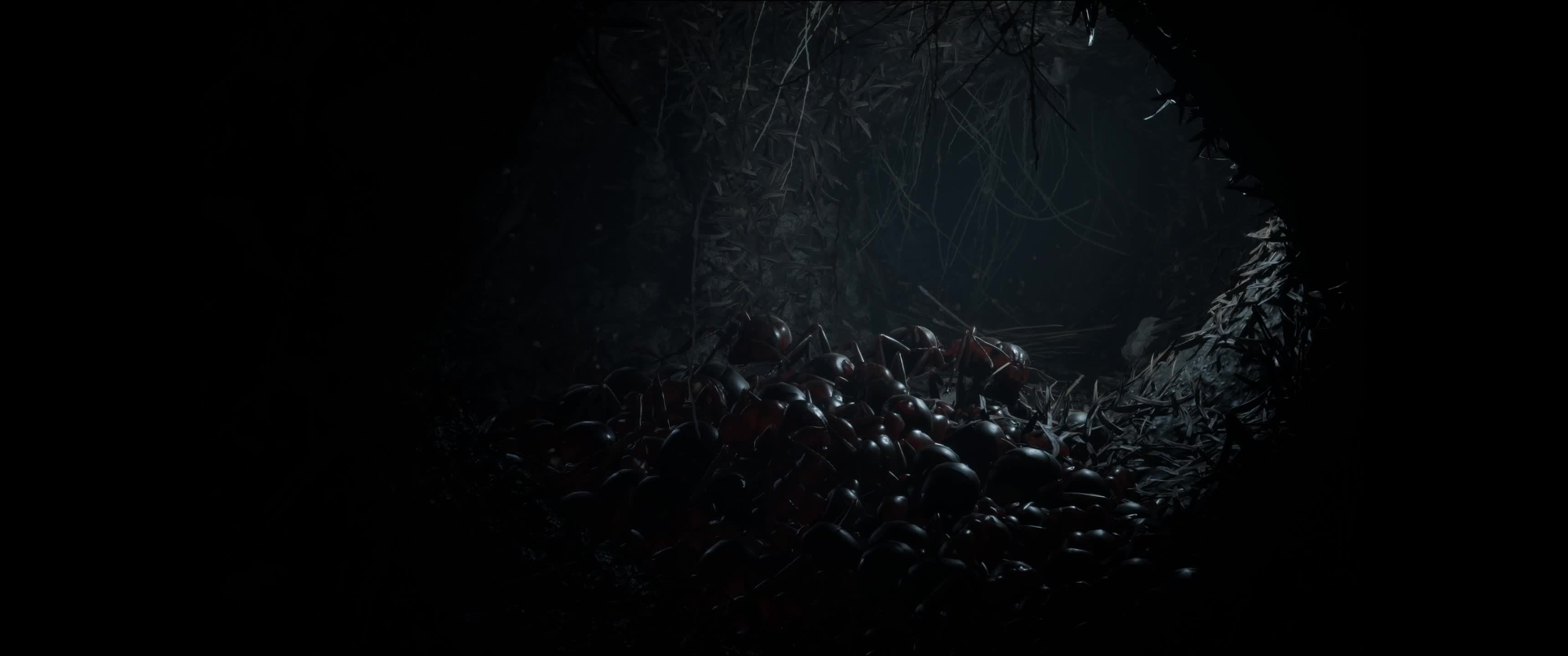 Empire of the Ants