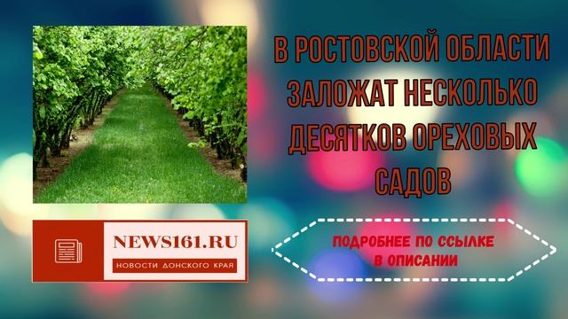 В Ростовской области заложат несколько десятков ореховых садов