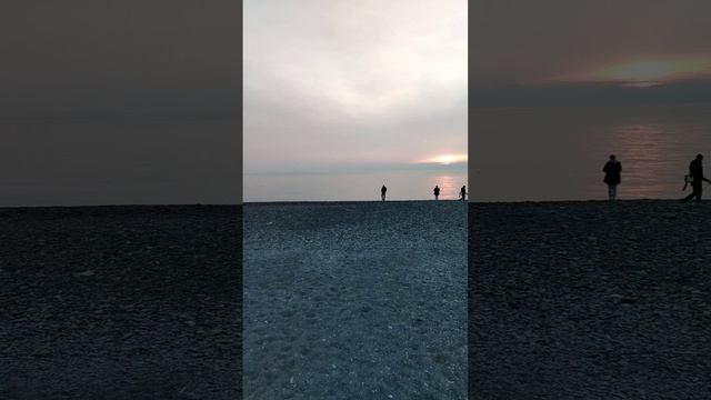 Сукко 14 ноября 2024