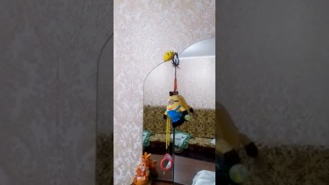 Как попугай Громко грызёт веточки погрызушки?! #попугай