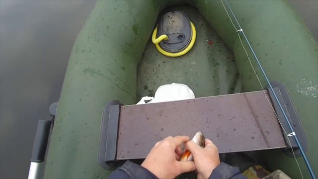 Рыбалка на спиннинг в первый день октября
