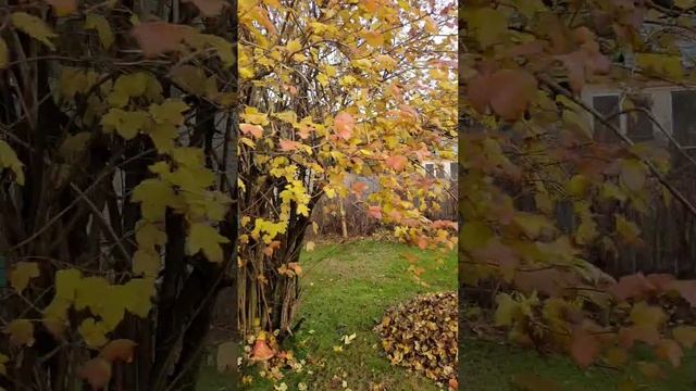 интересно, отель на зиму заселят?