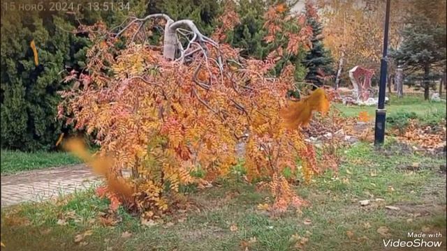 Мариуполь ⛵ теплый осенний день 🍁