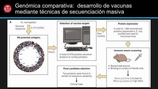 Métodos moleculares para identificar y caracterizar factores bacterianos y del hospedador