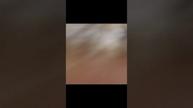 VID_20241115_210534