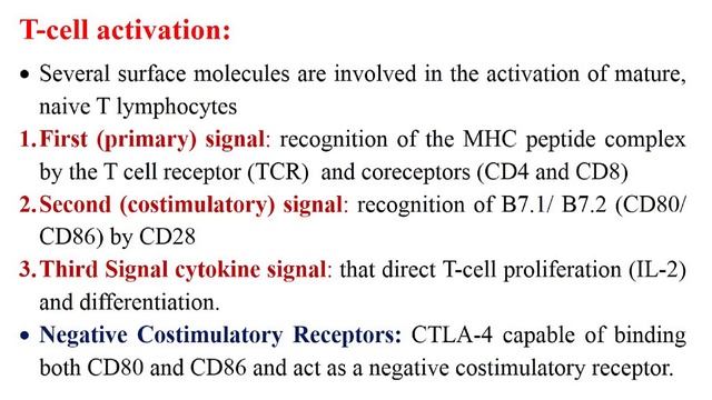 شرح ملزمة T-cell جزء ثاني