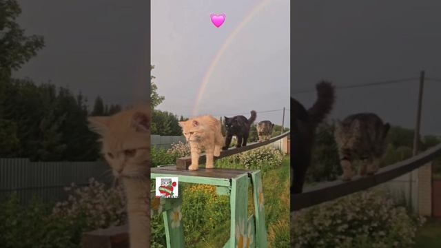 Храни Господь ты нас Храни 😇🌈💓🙏😻